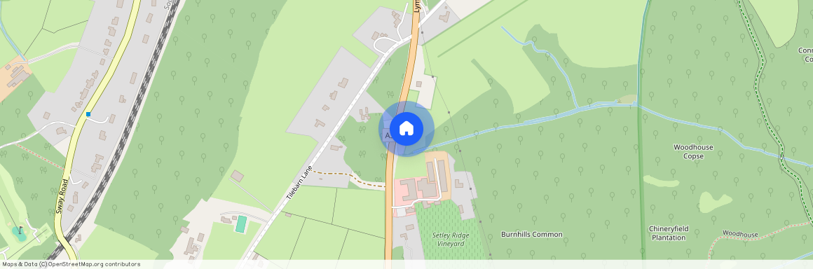 Lymington Road, Brockenhurst, Hampshire, SO42