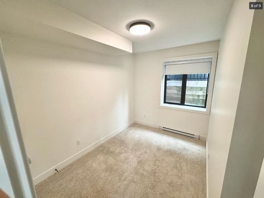 22184 44a Avenue #LEGAL Bsmt, Langley, BC V2Z0B5 - Photo 1