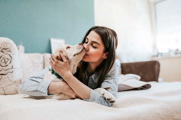 Spacious Apartments at Skyline in Nepean, Ottawa - RECEIVE ½ MONTH FREE RENT!* - Photo 1