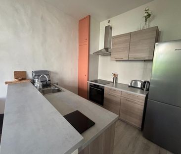 Location Appartement 2 pièces Meublé 52m² AVIGNON 84000 - Photo 5