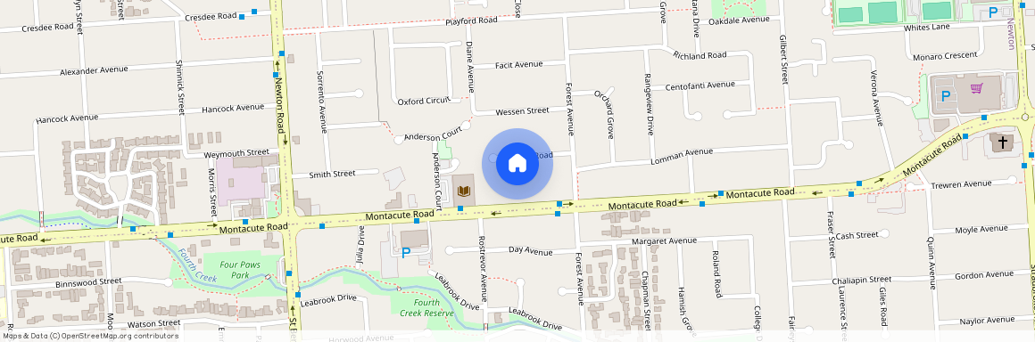 8 Scott Rd, SA 5074, Newton