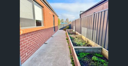 Modern Family Home in Manor Lakes! - Photo 3