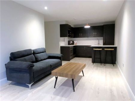 8 Cuirt Seoige, Bohermore, Galway, H91 CC8W - Photo 4
