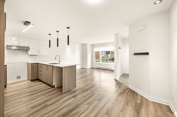1213 Rue du Grand-Pic - Photo 1