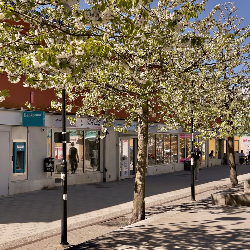 Norströms väg, Trångsund - Foto 1