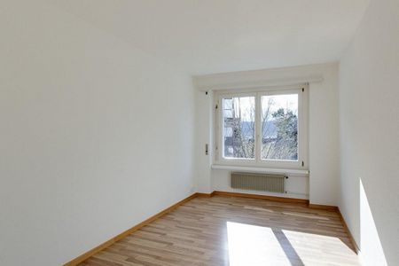 Zwischen Natur und Stadt - Photo 4