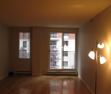 Appartement à louer à Montréal (Ville-Marie) - Photo 2