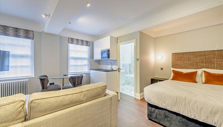 Luxury Studio Apartment for Rent Pelham Court, Chelsea, London SW3 - Photo 4