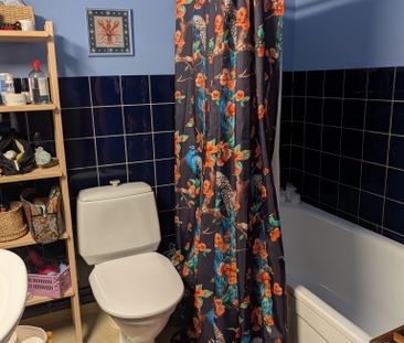 Hasselgatan, Malmö - Foto 6