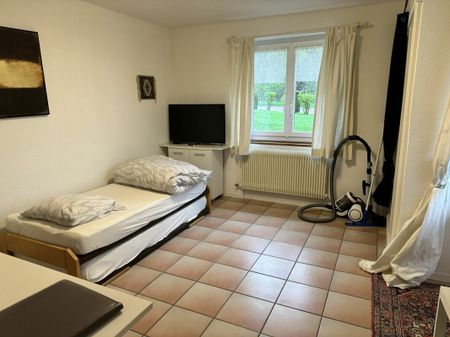 Furnished studio with terrace in the heart of Les Brenets - Photo 2