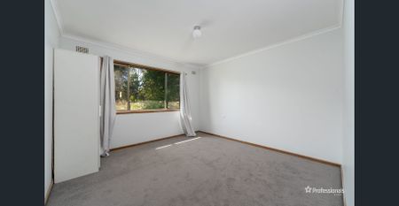 CUTE THREE BEDROOM HOME WITH MODERN TOUCHES AND CLASSIC CHARM! - Photo 3