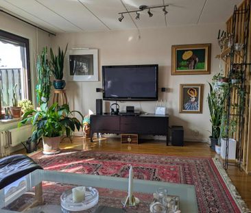 Rapsodivägen, Skogås - Photo 3