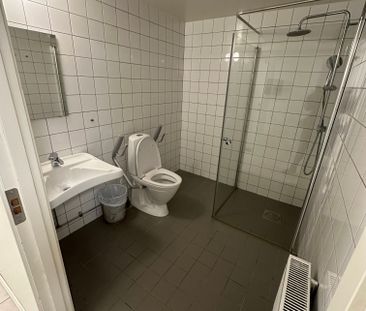 Polarvägen, Vega - Photo 2