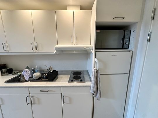 1-værelses lejlighed i Aalborg med fælles tagterrasse - Photo 1