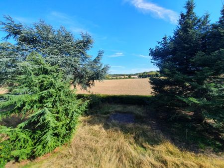 Location Maison 4 pièces 61m² - Photo 2