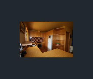 North Facing Unit - Photo 1