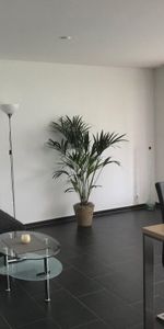 gemütliche Wohnung in freundlicher Überbauung - Foto 4