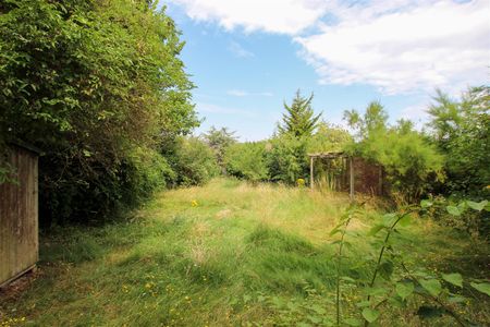 Queen Ediths Way, Cambridge - Photo 3