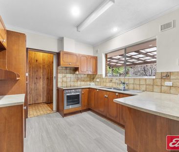 4 BEDROOM HOME ON HUGE BLOCK! - Photo 3