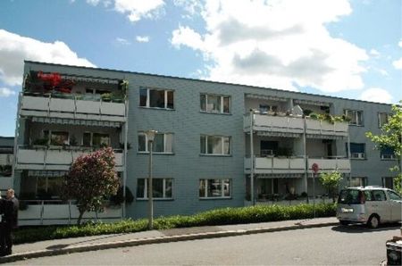 LOCATION SANS ACOMPTE - Appartement près du lac de Zurich - Photo 3