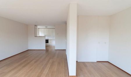 Pharus 0ong, 1503 EC Zaandam, Nederland - Foto 3