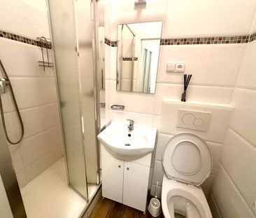 Byt 1+kk 10m2 k pronájmu v cihlovém domě, Rokytno 6, Rokytnice nad ... - Fotografie 1