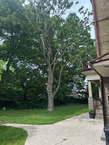 For Lease - 1 Waverly Place Unit# 6, London East, Ontario - Photo 4