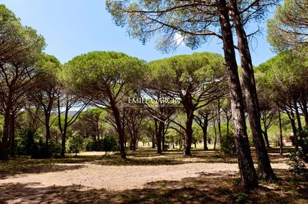 Charmante villa à louer sur la Plage de Palombaggia, accès plage via un sentier privé - Photo 5