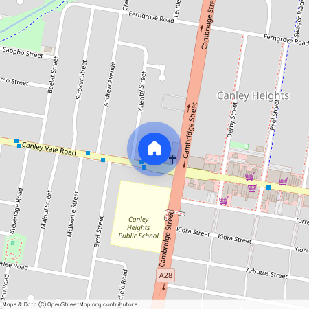 259 Canley Vale Road, NSW 2166, Canley Heights