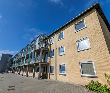 Asagården, Jættegården 1010-0 - Foto 6