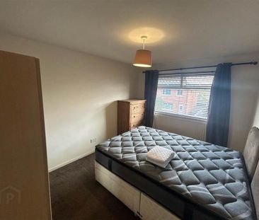 14 Sunnyside Crescent, Belfast, BT7 3DB - Photo 3