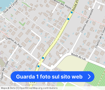 Exceptional Villa in Corsier - Lake View, Spacious, Garden & Pool - Foto 1