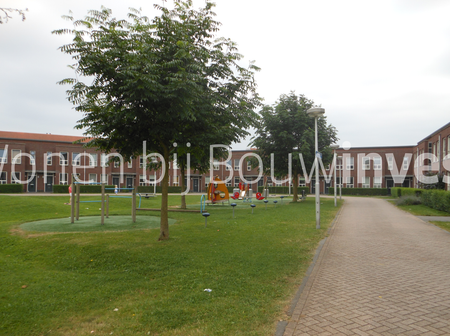 Snuitvlinder 4 - Foto 2