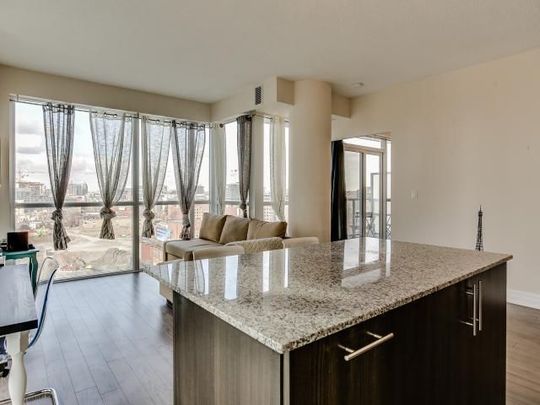For Lease - 352 Front Street Unit# 1406, Toronto, Ontario - Photo 1