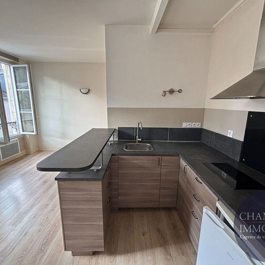 À louer : Appartement 2 pièces au coeur de Blois - Photo 1