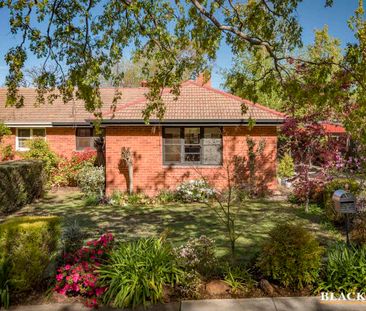 Charming Two Bedroom Home in Deakin - Photo 3