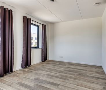 M. Vasalishof 10 - Photo 3