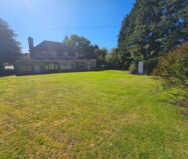 4 bedroom detached house to rent - Photo 4