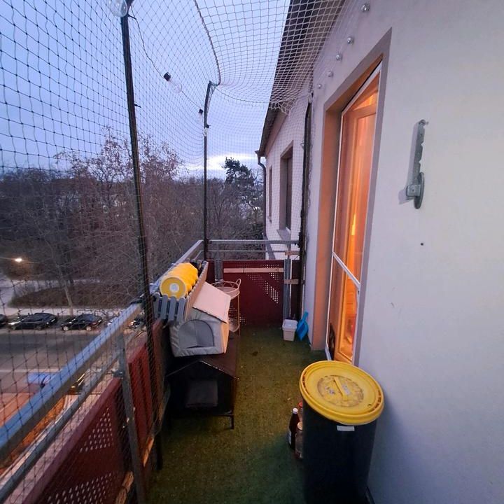 Nachmieter gesucht für 2 Zimmer Wohnung ab dem 01.02.26 - Photo 1