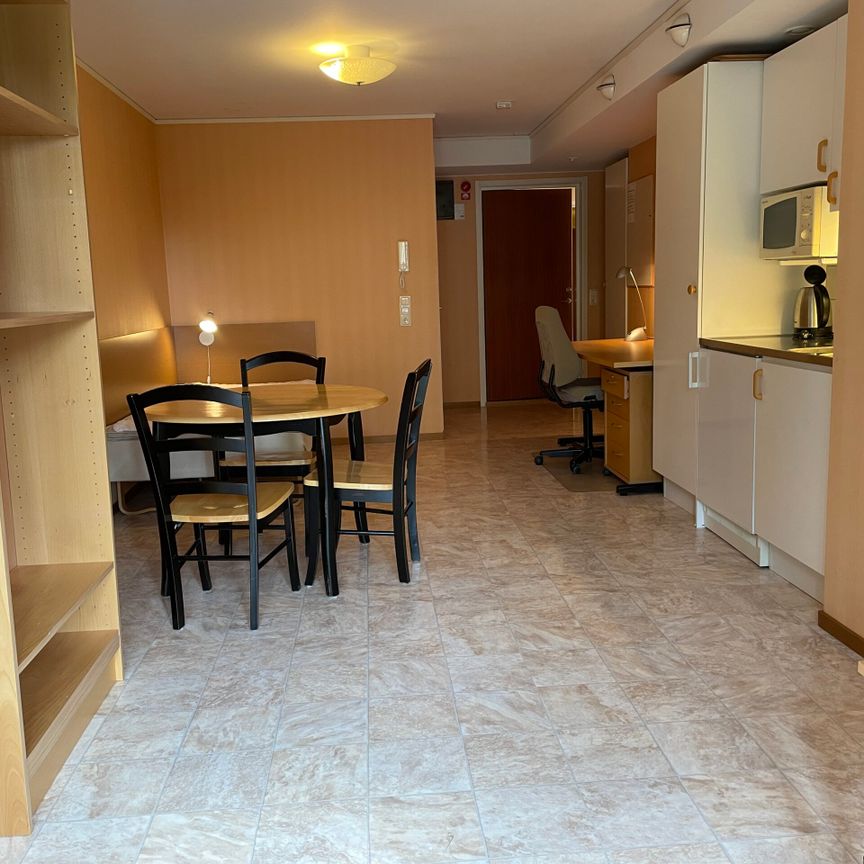 Möblerad 1:a i Centrum - Foto 1