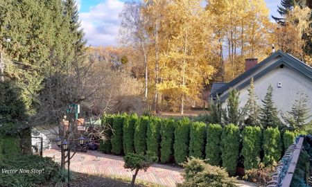 Piaseczyński (pow.), Piaseczno (gm.), Złotokłos - Zdjęcie 5