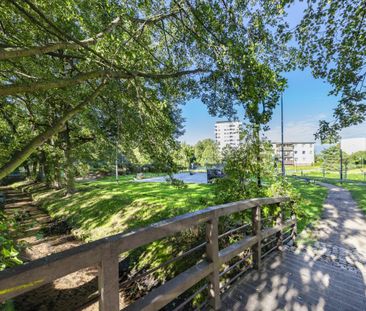 Mieszkanie na wynajem 2 pokoje, balkon - Zdjęcie 3