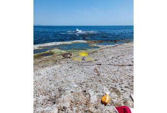 TWO-BEDROOM APARTMENT – TORREVIEJA