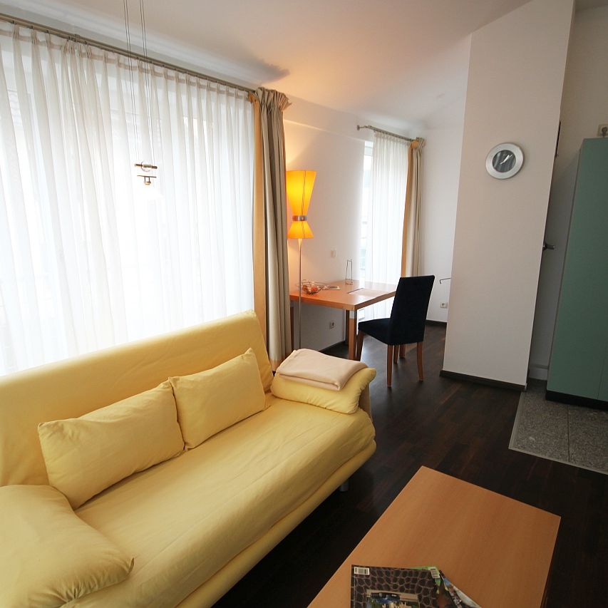 Exklusiv möblierte Wohnungmit Terrasse in direkter Rheinlage - Photo 1