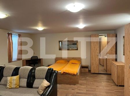 Apartament tip studio, 50 mp, terasa, zona Ultracentrala - Fotografie 2