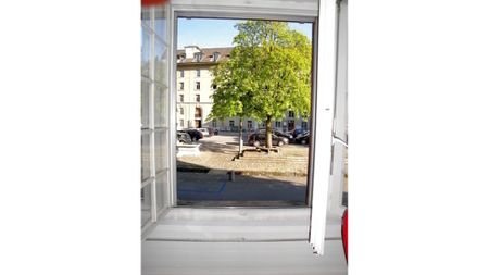 3½ Zimmer-Wohnung in Bern - Matte, möbliert, auf Zeit - Photo 5