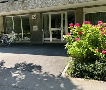 2.5 Zimmer, EG - Photo 5