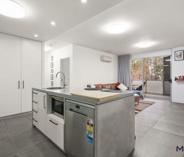 12/8 Baudinette Circuit, Bruce ACT 2617 - Apartment For Rent | Domain - Photo 6