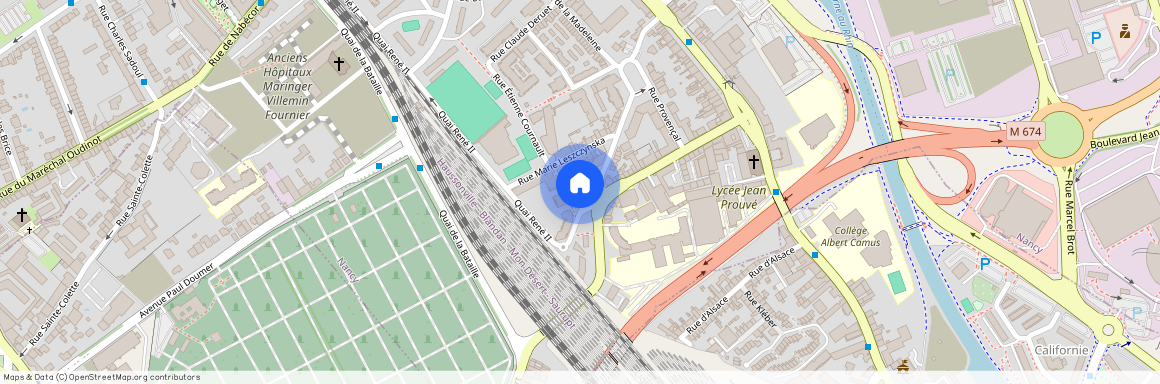 44 RUE DU DOCTEUR LOUIS MICHEL, Rene Ii Bonsecours La Madeleine, Nancy