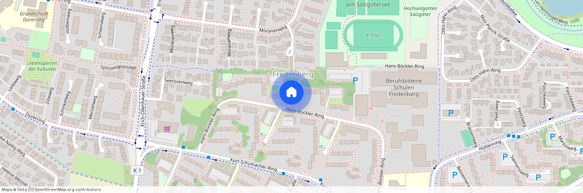 Hans-Böckler-Ring 42, 38228 Salzgitter